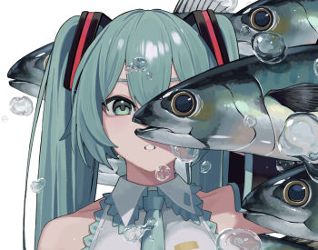 1girl aqua_eyes aqua_hair aqua_necktie arm_up asa_(o0_asa_0o) black_sleeves commentary_request detached_sleeves fish grey_shirt hatsune_miku highres long_hair looking_at_viewer mackerel_(fish) necktie parted_lips shirt solo twintails upper_body vocaloid water_drop white_background wing_collar