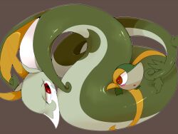Rule 34 | blush, coiled, creatures (company), game freak, gen 5 pokemon, half-closed eyes, nintendo, open mouth, pokemon, pokemon (creature), red eyes, serperior, simple background, smile, snake, snivy, winte