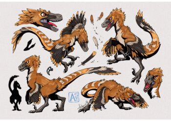animal_focus artist_name astarcis claws closed_mouth dinosaur dynamic_pose fangs feathered_dinosaur feathers full_body multiple_views no_humans open_mouth original raptor reference_sheet sharp_teeth simple_background tail teeth velociraptor watermark