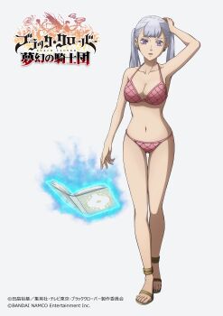 1girl absurdres bandai_namco bikini black_clover breasts cleavage collarbone earrings grey_hair highres jewelry large_breasts medium_breasts namco navel noelle_silva official_art pink_bikini purple_eyes sandals solo spellbook swimsuit twintails