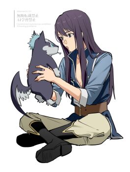 Rule 34 | 2boys, :o, animal, belt, black boots, blue shirt, boots, brown belt, brown pants, commentary request, green eyes, harenochi 777, highres, holding, holding animal, indian style, long hair, looking at another, male focus, multiple boys, pants, plunging neckline, purple eyes, purple fur, purple hair, repede (tales), repede (young) (tales), shirt, simple background, sitting, tales of (series), tales of vesperia, watermark, white background, wolf, yuri lowell, yuri lowell (fedrock knight's spirit)