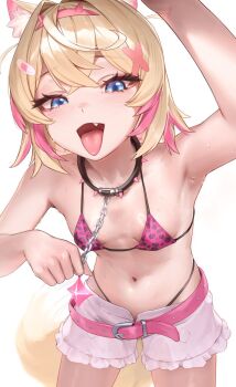 1girl animal_collar animal_ears animal_print arm_up armpits bandaid bandaid_hair_ornament belt bikini bikini_bottom_under_shorts bikini_under_clothes black_collar blonde_hair blue_eyes breasts collar commentary_request crossed_bangs dog_ears dog_girl dog_tail double-parted_bangs fake_horns fang frilled_shorts frills hair_between_eyes hair_intakes hair_ornament hairband highres hololive hololive_english horn_hairband horns leopard_print leopard_print_bikini leopard_print_bra looking_at_viewer midriff mococo_abyssgard mococo_abyssgard_(1st_costume) multicolored_hair navel no_shirt open_fly open_mouth padoruu pink_belt pink_hair pink_hairband print_bikini print_bra shirt short_hair short_shorts shorts simple_background small_breasts solo spiked_collar spikes stomach streaked_hair sweat swimsuit tail tongue tongue_out two_side_up underwear virtual_youtuber white_background white_shirt x_hair_ornament