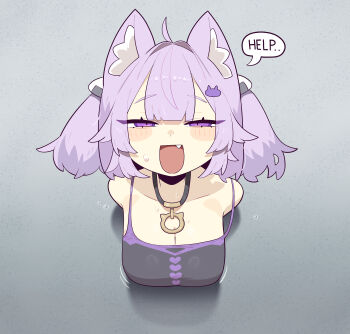 Rule 34 | 1girl, :d, absurdres, ahoge, animal ears, breasts, cat ears, cat girl, cat hair ornament, cocomayo29 (tomato), collarbone, commentary, english text, fang, hair between eyes, hair ornament, heart, highres, hololive, korean commentary, large breasts, looking at viewer, nekomata okayu, nervous sweating, open mouth, purple eyes, purple hair, smile, solo, speech bubble, sweat, through wall, twintails, virtual youtuber