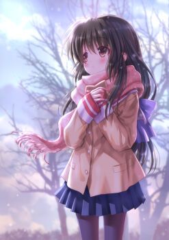 1girl black_hair black_pantyhose blue_skirt brown_eyes clannad cloud commentary_request cowboy_shot day goto_p grey_sky highres hikarizaka_private_high_school_uniform ibuki_fuuko jacket long_hair looking_to_the_side low-tied_long_hair outdoors pantyhose pink_scarf pleated_skirt sailor_collar scarf school_uniform skirt sky solo tree white_sailor_collar yellow_jacket