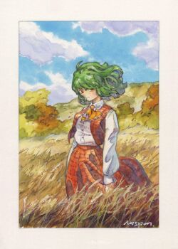 1girl absurdres arms_at_sides ascot border closed_mouth cloud collared_shirt commentary_request cowboy_shot day expressionless floating_hair green_hair highres kazami_yuuka long_sleeves looking_at_viewer medium_hair miso_pan outdoors painting_(medium) plaid_clothes plaid_skirt plaid_vest red_eyes red_skirt red_vest shirt skirt solo standing touhou traditional_media vest watercolor_(medium) wheat_field white_border white_shirt wind yellow_ascot