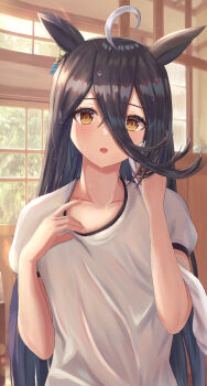 Rule 34 | 1girl, ahoge, animal ears, black hair, blush, breasts, collarbone, commentary request, ear tag, earrings, gym shirt, hair between eyes, highres, holding, holding towel, horse ears, horse girl, indoors, jewelry, long bangs, long hair, long hair between eyes, looking at viewer, manhattan cafe (umamusume), multicolored hair, open mouth, shirt, short sleeves, single earring, small breasts, solo, sweat, thurumu, towel, umamusume, upper body, very long hair, white hair, white shirt, wiping sweat, yellow eyes