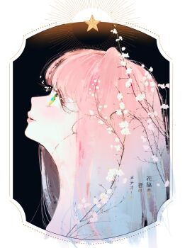 Rule 34 | 1girl, absurdres, b etty01tm, blue hair, branch, closed mouth, commentary request, flower, gradient hair, green eyes, hana himeru kimi no meteor, highres, lips, long hair, looking to the side, multicolored hair, pink hair, romaji text, smile, solo, solo focus, star-shaped pupils, star (symbol), stella quinwich, symbol-shaped pupils