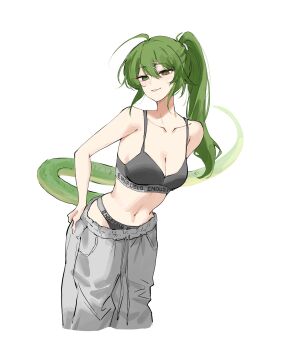 1girl absurdres ahoge arknights arknights:_endfield bare_shoulders black_bra black_panties bra breasts cleavage collarbone commentary cropped_legs feint721 fluorite_(arknights) green_eyes green_hair grey_pants highres large_breasts long_hair looking_at_viewer midriff navel panties pants ponytail simple_background snake_girl snake_tail solo tail underwear very_long_hair white_background