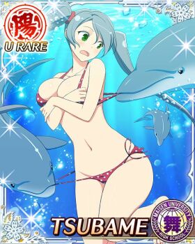 Rule 34 | 1girl, bikini, bikini pull, border, breasts, card (medium), character name, clothes pull, covering breasts, covering privates, dolphin, game cg, green eyes, grey hair, groin, large breasts, long hair, looking at animal, looking to the side, navel, official art, open mouth, polka dot, polka dot bikini, red bikini, senran kagura, senran kagura new wave, side-tie bikini bottom, solo, surprised, swept bangs, swimsuit, third-party source, tsubame (senran kagura), twintails, underwater, very long hair