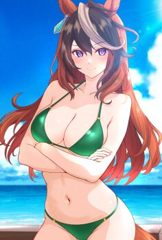 1girl absurdres animal_ears arms_under_breasts bikini breasts brown_hair cleavage closed_mouth cloud collarbone commentary_request cowboy_shot crossed_arms day earrings green_bikini highres horizon horse_ears horse_girl jewelry large_breasts lens_flare long_hair looking_at_viewer multicolored_hair navel nitamako_(sakamalh) ocean outdoors purple_eyes single_earring smile solo standing streaked_hair swimsuit symboli_rudolf_(umamusume) umamusume white_hair