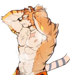 Rule 34 | 1boy, abs, animal ears, arms behind head, blush, cross scar, fang, fang out, furry, furry male, grantly bell, highres, knights college, male focus, muscular, muscular male, nipples, pectorals, ppyong, profile, scar, scar on chest, tail, tiger boy, tiger ears, tiger stripes, tiger tail, topless male, white background