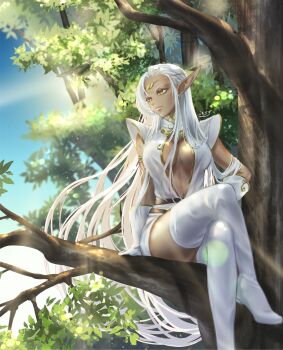 1girl absurdres branch breasts dark-skinned_female dark_elf dark_skin elbow_gloves elf gloves highres long_hair medium_breasts pirotess pointy_ears record_of_lodoss_war revealing_clothes sitting_on_branch solo tan thighhighs thighs tree very_long_hair white_hair yellow_eyes