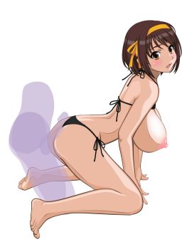 1boy 1girl all_fours animated animated_png arm_support ass barefoot bikini bikini_top_lift black_bikini blush breasts brown_hair buttjob clothes_lift doggystyle flying_tree_frog full_body hairband hetero highres kneeling large_breasts leaning_forward looking_at_viewer looking_to_the_side nipples penis rubbing sex sex_from_behind short_hair side-tie_bikini_bottom suzumiya_haruhi suzumiya_haruhi_no_yuuutsu swimsuit transparent_background uncensored yellow_hairband