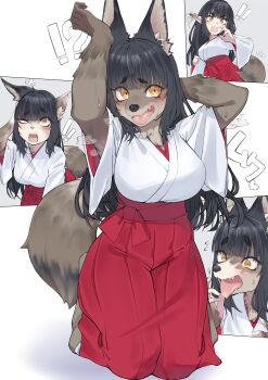 ! !! !? 1girl absurdres animal_ears black_hair breasts commentary_request fangs furrification furry furry_female highres japanese_clothes large_breasts long_hair miko nekokaminari open_mouth original pointy_ears solo tail tongue tongue_out transformation wolf_ears wolf_girl wolf_tail yellow_eyes