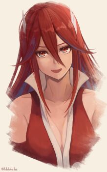 Rule 34 | 1girl, breasts, commentary request, cordelia (fire emblem), fire emblem, fire emblem awakening, hair between eyes, hair ornament, highres, labebebe lee, long hair, medium breasts, nintendo, open mouth, red eyes, red hair, solo, wing hair ornament, winged hair ornament