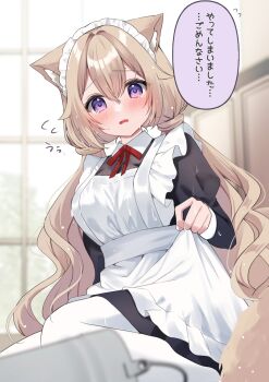 1girl animal_ear_fluff animal_ears apron black_dress blurry blurry_background blurry_foreground blush collared_dress commentary_request depth_of_field double-parted_bangs dress fallen_down feet_out_of_frame fio_(hamico) hair_between_eyes hamico highres indoors long_bangs long_sleeves looking_at_viewer maid maid_apron maid_headdress open_mouth original pantyhose purple_eyes raised_inner_eyebrows solo speech_bubble water_drop wet wet_apron wet_clothes white_apron white_pantyhose