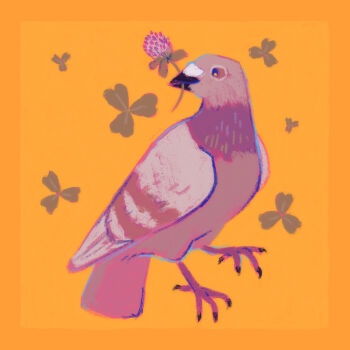 Rule 34 | animal focus, bird, clover, flower, grey bird, highres, makovietz, no humans, orange background, original, pigeon, purple flower, simple background, solo