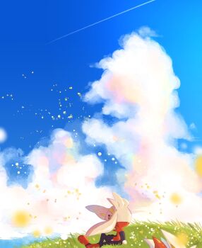 cinderace cloud from_side furry gen_8_pokemon grass hand_in_pocket highres nintendo nullma outdoors pokemon pokemon_(creature) raboot red_eyes sitting sky toes