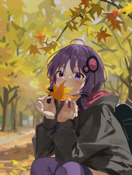 1girl ahoge autumn_leaves backpack bag black_jacket blush branch commentary_request covered_mouth day hair_ornament highres holding holding_leaf hood hood_down hooded_jacket jacket lamb_(hitsujiniku) leaf long_hair long_sleeves outdoors puffy_long_sleeves puffy_sleeves purple_eyes purple_hair purple_thighhighs solo squatting thighhighs tree vocaloid voiceroid yuzuki_yukari