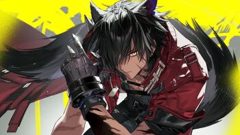 1boy animal_ear_fluff animal_ears arknights arknights:_endfield black_hair black_pants black_shirt commentary_request gauntlets grey_background hair_over_one_eye highres itefu jacket leaning_forward looking_at_viewer male_focus pants red_jacket scar scar_on_arm scar_on_face shirt short_hair sleeves_rolled_up solo tail two-tone_background wolf_boy wolf_ears wolf_tail wulfgard_(arknights) yellow_background yellow_eyes