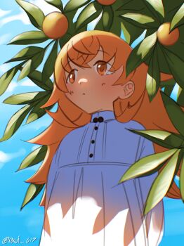 1girl absurdres arms_behind_back averting_eyes blue_sky blush child dress dwarf eyebrows_hidden_by_hair food fruit hair_between_eyes highres juliette_(mushoku_tensei) long_hair looking_ahead mushoku_tensei orange_(fruit) orange_eyes ravi-617 sky solo tree twitter_username upper_body white_dress