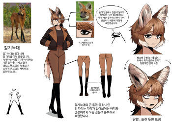 1girl animal_ear_fluff animal_ears animal_request black_boots black_eyes black_jacket boots brown_hair brown_pants brown_shirt closed_mouth commentary_request creature_and_personification gegegekman hands_in_pockets high_heel_boots high_heels highres jacket korean_commentary korean_text long_sleeves multiple_views open_clothes open_jacket original pants parted_bangs personification photo_inset reference_inset reference_sheet shirt short_hair simple_background tail translation_request white_background