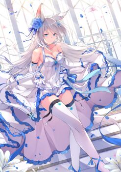 Rule 34 | 1girl, animal ear fluff, animal ears, blue eyes, blue flower, blue footwear, blush, breasts, bride, cat ears, closed mouth, covered navel, crossed legs, curtsey, dress, elbow gloves, female focus, floating hair, flower, fuuro (johnsonwade), gloves, hair flower, hair ornament, indoors, large breasts, lifting own clothes, lily (flower), long hair, looking at viewer, original, petals, sidelocks, skirt hold, smile, solo, strapless, strapless dress, thighhighs, very long hair, watson cross, wedding dress, white dress, white gloves, white hair, white thighhighs, wind, wind lift