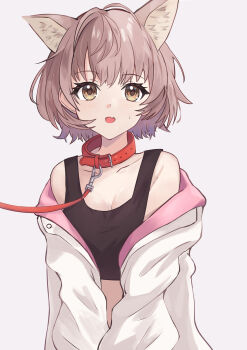 Rule 34 | 1girl, :o, andon, animal collar, animal ears, bare shoulders, black sports bra, breasts, brown hair, collar, collarbone, dog ears, fang, highres, idolmaster, idolmaster shiny colors, ikuta haruki, jacket, jacket partially removed, kemonomimi mode, leash, looking at viewer, open clothes, open jacket, short hair, simple background, skin fang, small breasts, solo, sports bra, sweatdrop, two-sided fabric, two-sided jacket, upper body, viewer holding leash, white background