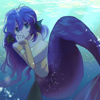 Rule 34 | 1girl, armband, bare shoulders, blue hair, blue scales, blue tail, blue theme, breasts, commentary request, fins, hair between eyes, hand on own face, head fins, highres, long hair, long sidelocks, madou monogatari, medium breasts, mermaid, monster girl, navel, puyopuyo, serilly (puyopuyo), sidelocks, solo, strapless, tamamiyau, tube top, underwater