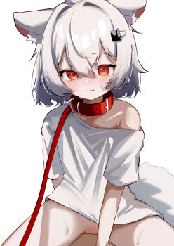 1girl absurdres animal_ears aoi_(swoi_ekk) between_legs blush bottomless cat_ears cat_girl cat_tail closed_mouth collar fang fang_out gradient_hair grey_hair hair_ornament hand_between_legs highres implied_sex leash loli looking_at_viewer multicolored_hair naked_shirt off_shoulder orange_eyes original pov pussy red_collar shirt short_hair short_sleeves simple_background single_bare_shoulder sitting smile straddling sweat tail viewer_holding_leash white_background white_hair white_shirt