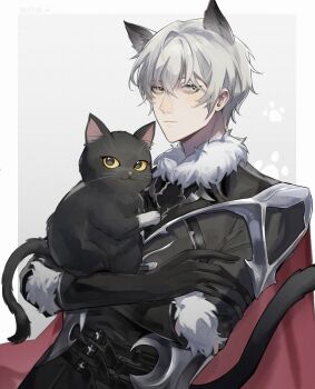 Rule 34 | 1boy, :|, animal, animal ears, belt, black belt, black cat, black gloves, black jacket, border, cape, cat, cat boy, cat ears, cat tail, chinese commentary, closed mouth, commentary request, elbow gloves, expressionless, extra ears, fur-trimmed collar, fur-trimmed jacket, fur-trimmed sleeves, fur trim, gloves, grey background, grey eyes, grey hair, hair between eyes, highres, holding, holding animal, holding cat, jacket, long sleeves, looking at viewer, luxingyao, male focus, multiple belts, outside border, paw print, paw print background, red cape, short hair, shoulder guard, sideways glance, simple background, solo, tail, three-quarter sleeves, upper body, welcome to dreamland, white border