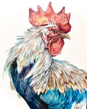Rule 34 | animal, animal focus, bird, chicken, commentary request, highres, no humans, original, painting (medium), rooster, simple background, takahashi shion, traditional media, watercolor (medium), white background