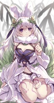 1girl absurdres bare_shoulders bloomers blush breasts commentary_request detached_sleeves duel_monster flower foot_out_of_frame hair_between_eyes highres kanzakietc leaf leaf_on_head leg_tattoo long_hair looking_at_viewer medium_breasts midriff monster_girl navel parted_lips plant plant_girl purple_eyes sitting soles solo tattoo traptrix_cularia underwear wariza water white_flower white_hair wrist_cuffs yu-gi-oh!