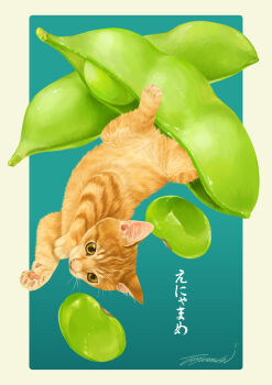 Rule 34 | animal, aqua background, border, cat, commentary request, no humans, orange cat, original, pea pod, signature, sunamusi2764, white border