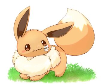 animal_focus brown_eyes commentary_request eevee flower gen_1_pokemon grass mimix mouth_hold nintendo no_humans pokemon pokemon_(creature) pokemon_focus smile solo standing white_background
