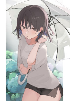1girl absurdres black_shorts blue_flower blue_hair blush brown_hair colored_inner_hair commentary_request flower grey_eyes highres holding holding_umbrella hydrangea looking_at_viewer multicolored_hair okishiro_momoka_(shin_no_tenpii) open_mouth original pillarboxed shin_no_tenpii shirt shorts solo umbrella white_shirt white_umbrella