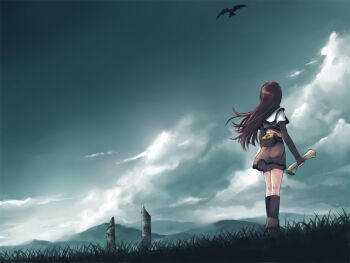 back bad_id bad_pixiv_id bird black_hair cloud day from_behind grass hunter hunter_(ragnarok_online) kneehighs long_hair midriff ragnarok_online scenery sky socks solo wind yakka