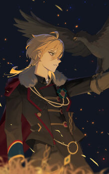 1boy 8083_blue animal_on_arm bird bird_on_arm black_background black_bird black_jacket black_pants blonde_hair cape commentary_request ensemble_stars! gloves hakaze_kaoru hawk highres jacket male_focus outstretched_arm pants parted_lips red_cape scorpio&#039;s_venom_(ensemble_stars!) short_hair solo