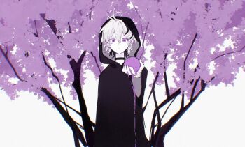 1girl androgynous antenna_hair apple arm_at_side black_choker black_cloak black_hair chinese_commentary choker chromatic_aberration cloak closed_mouth colored_inner_hair colored_skin commentary_request double-parted_bangs extra_ears film_grain flower_(vocaloid) flower_(vocaloid4) food foreshortening fruit hair_between_eyes hand_up highres hood hood_up hooded_cloak looking_at_viewer multicolored_hair partially_colored purple_eyes purple_liquid shai61384166010 short_hair simple_background solo standing straight-on streaked_hair three-quarter_sleeves tree two-tone_hair upper_body vocaloid white_background white_hair white_skin