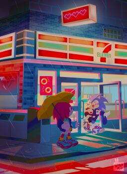 2boys 7-eleven aquiboni commentary full_body furry furry_male gloves happy highres jacket knuckles_the_echidna looking_at_another multiple_boys outdoors rain shoes sneakers sonic_(series) sonic_the_hedgehog symbol-only_commentary umbrella walking