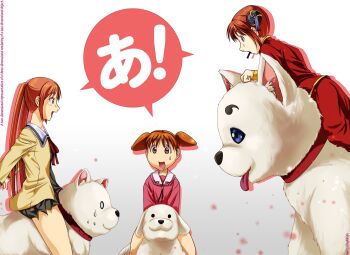 Rule 34 | 3girls, a (phrase), aho girl, artist name, azumanga daiou, blue eyes, brown eyes, brown hair, commentary, crossover, dog, gintama, hanabatake yoshiko, highres, inu (aho girl), kagura (gintama), melisaongmiqin, mihama chiyo, multiple girls, riding, sadaharu, school uniform, serafuku, solid oval eyes, sweatdrop, tadakichi-san, tongue, tongue out, trait connection, twintails