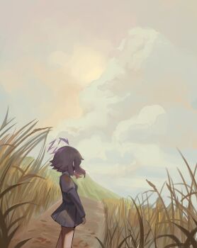 1girl blue_archive cloud commentary dokomon halo haruka_(blue_archive) highres juliet_sleeves korean_commentary long_sleeves outdoors puffy_sleeves purple_hair purple_halo skirt sky solo wide_shot