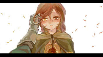 1girl 1other bearer_of_the_curse blush brown_eyes brown_gloves brown_hair cloak commentary dark_souls_(series) dark_souls_ii dress emerald_herald gauntlets gloves green_cloak green_dress hand_in_own_hair heterochromia kanon_(rsl) letterboxed looking_at_viewer open_mouth pov pov_hands short_hair simple_background sleeveless solo_focus upper_body white_background yellow_eyes