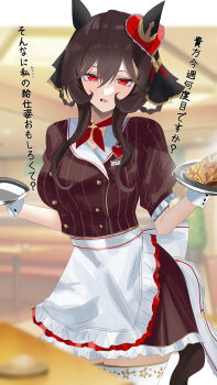 Rule 34 | 1girl, absurdres, animal ears, apron, blush, braid, braided hair rings, breasts, brown hair, brown shirt, brown skirt, coco's, commentary request, ear covers, ear ornament, food, gentildonna (umamusume), hair between eyes, hair ornament, hair rings, heart, heart-shaped ornament, heart ear ornament, highres, holding, holding food, holding tray, horse ears, horse girl, horse tail, kirameki (rikukaikuu), large breasts, long hair, looking at viewer, open mouth, red eyes, shirt, short sleeves, skirt, solo, sweatdrop, tail, thighhighs, tray, umamusume, waist apron, waitress, white apron, white thighhighs, white wrist cuffs, wrist cuffs, zettai ryouiki