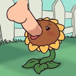 Rule 34 | animated, fellatio, oral, penis, plant, plants vs zombies, sunflower (plants vs zombies)