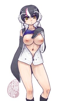 1girl arm_at_side artist_logo bird_tail black_hair bottomless breasts brown_eyes closed_mouth clothes_lift commentary_request contrapposto detached_sleeves feet_out_of_frame galapagos_penguin_(kemono_friends) gluteal_fold hair_between_eyes hand_on_own_chest hand_up headphones jacket kemono_friends kemono_friends_3 kishida_shiki large_breasts legs_apart logo mole mole_on_breast mole_on_stomach multicolored_hair multiple_moles navel nipples partially_unzipped pink_hair puckered_lips short_hair simple_background solo standing stomach tail white_hair zipper zipper_pull_tab