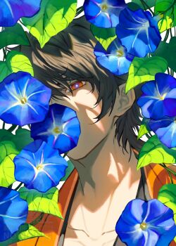 Rule 34 | 1boy, absurdres, black hair, blue flower, collarbone, commentary request, covered mouth, expressionless, flower, flower over mouth, head tilt, highres, japanese clothes, kimono, leaf, looking at viewer, lower eyelashes only, male focus, medium hair, morning glory, mutsu-no-kami yoshiyuki, one eye covered, orange eyes, orange kimono, shadow, solo, star (symbol), sumosummo, symbol-shaped pupils, touken ranbu, upper body