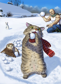 Rule 34 | 1boy, artist name, bald, bird, blue pants, cat, commentary request, dated, day, highres, holding, looking at viewer, matataku, muscular, muscular male, open mouth, original, outdoors, owl, pants, plaid clothes, plaid scarf, red scarf, scarf, shirt, signature, sleeveless, sleeveless shirt, smile, snow, snowball, striped clothes, striped scarf, surprised cat (matataku), white shirt, winter