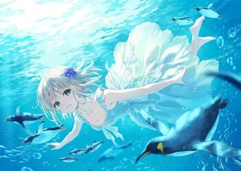 1girl barefoot bird dress hiten_(hitenkei) medium_hair original penguin swimming underwater water