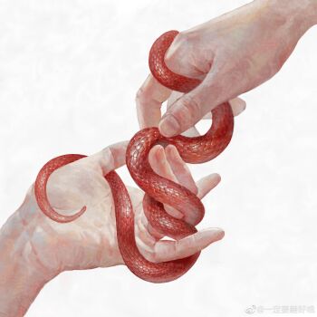2others ambiguous_gender animal fingernails hand_focus highres holding holding_animal holding_snake multiple_others original reaching red_scales red_snake scales simple_background sleell11 snake symbolism watermark weibo_username weibo_watermark white_background